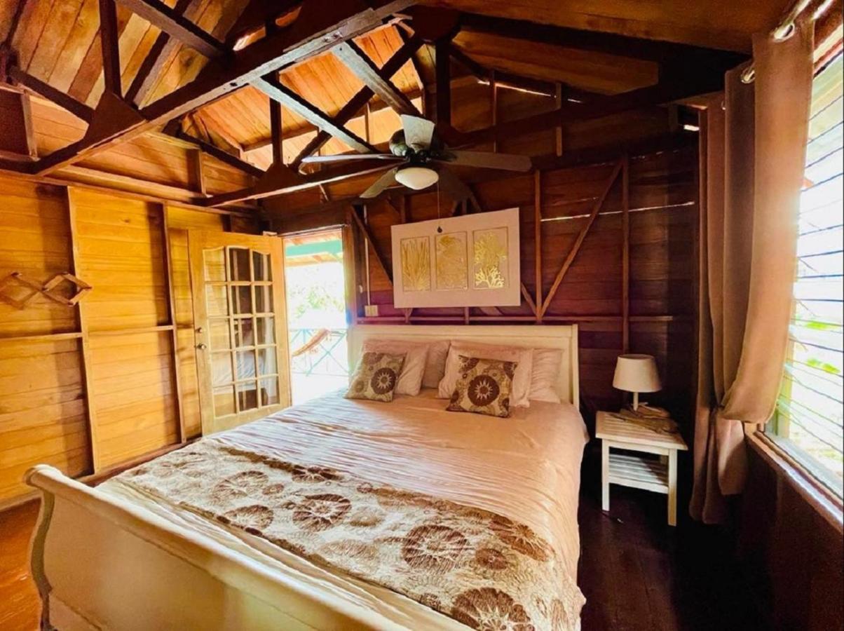 בוקס דל טורו Villa Amaya מראה חיצוני תמונה